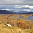 Herbst stimmung Vildmarksvägen nördkliches Jämtland - Schweden.jpg