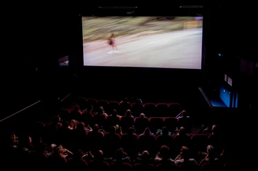 Filmhaus, movie theater In a darkened movie theater, an audience watches a film on a big screen.