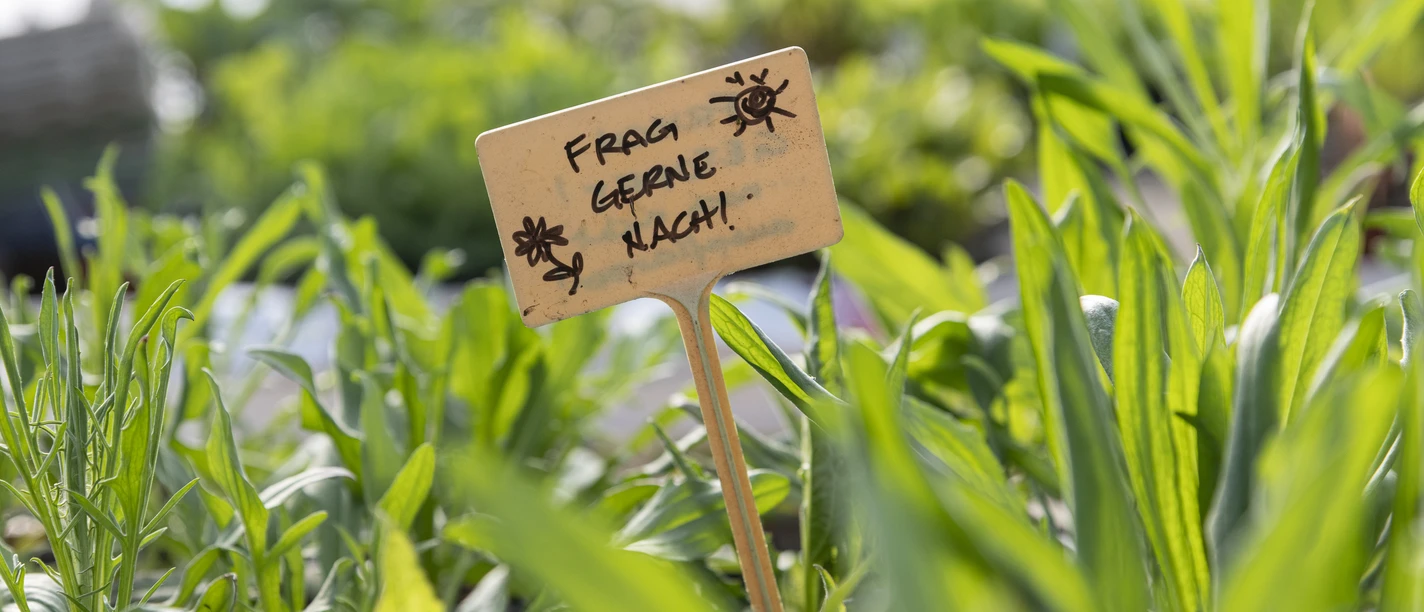 Hof an den Teichen, Gewächshaus Hof an den Teichen, Gewächshaus