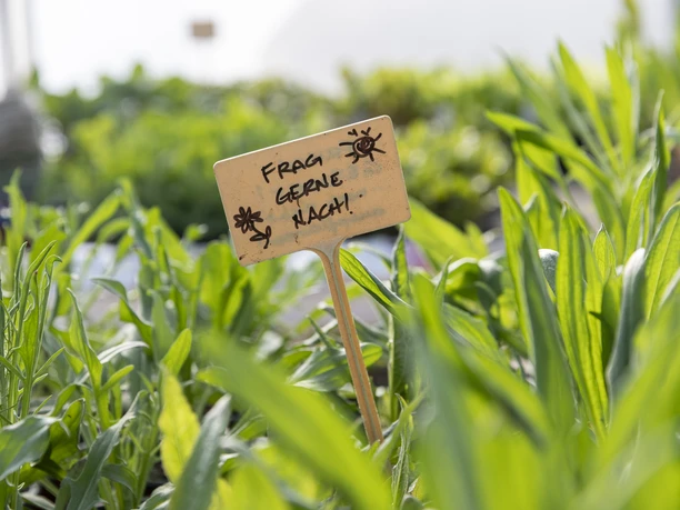 Hof an den Teichen, Gewächshaus Hof an den Teichen, Gewächshaus