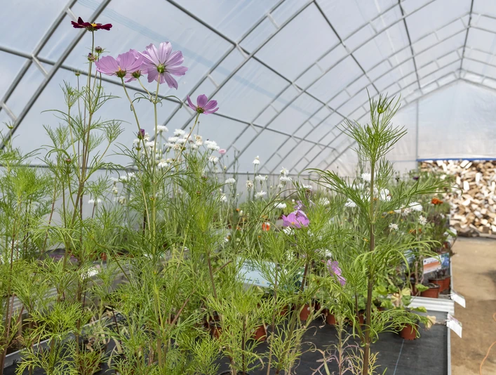 Hof an den Teichen, Gewächshaus Hof an den Teichen, Gewächshaus