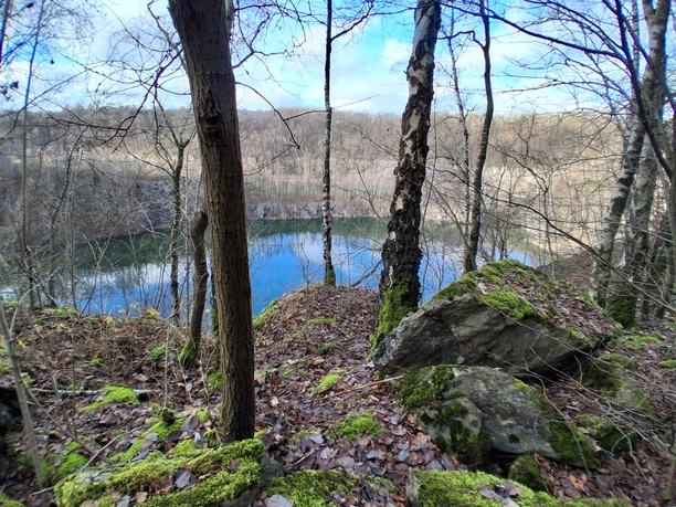 Märchenhaftes Waldbaden am Kalkwald Schlupkothen und der Blauen Lagune - Anja Lindemann Blick auf den Steinbruch Schlupkothen in Wülfrath, umrahmt von kahlen Bäumen und moosbewachsenen Felsen.