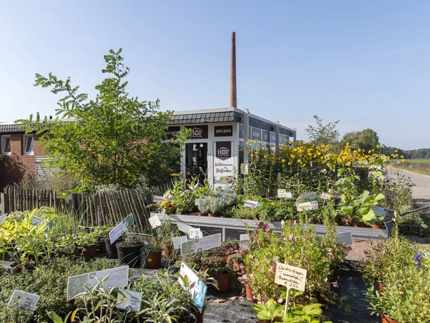 Hof an den Teichen, Hofladen Hof an den Teichen, Hofladen