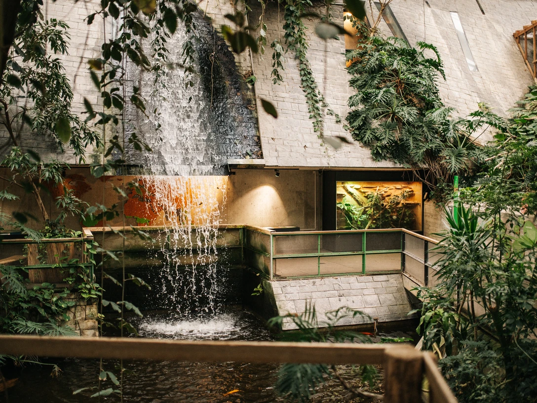 Biosphäre Potsdam - Wasserfall (c) PMSG Steven Ritzer.jpg