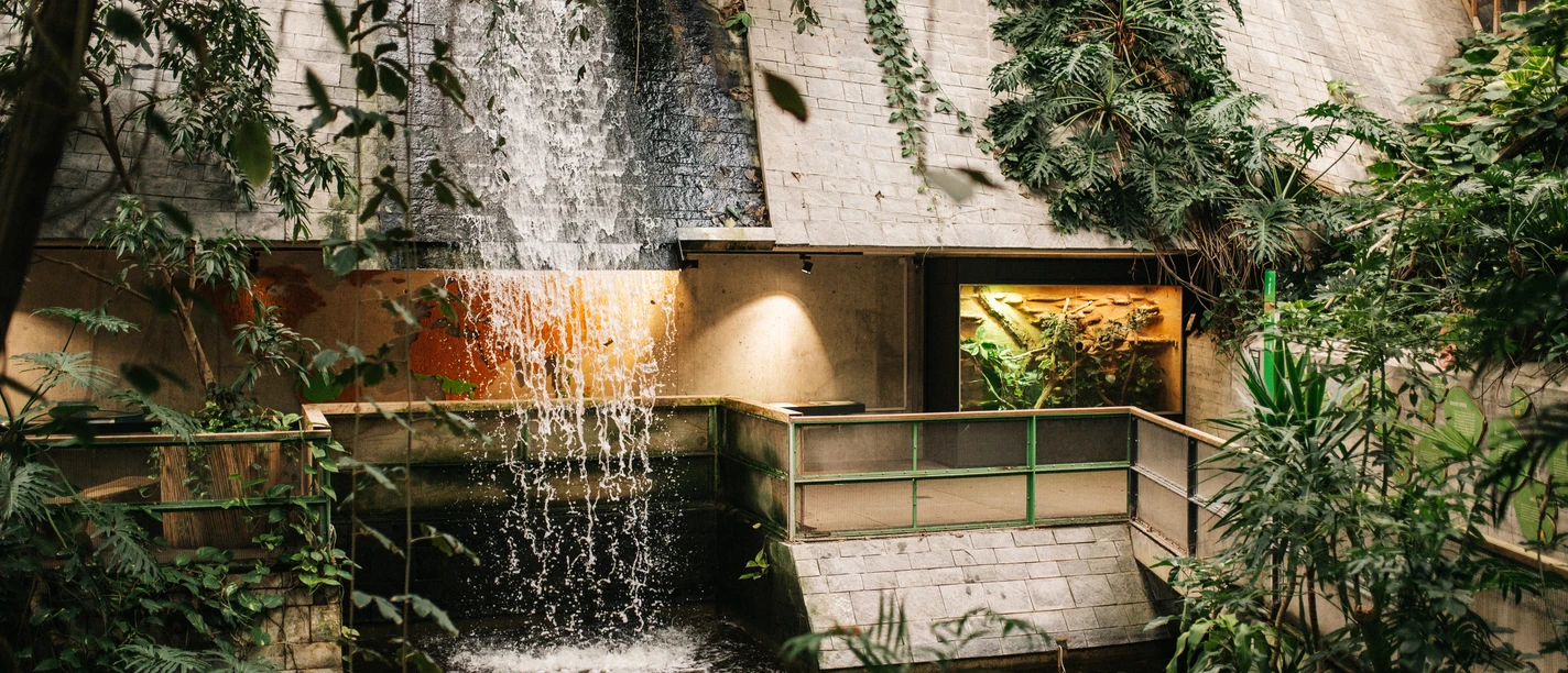 Biosphäre Potsdam - Wasserfall Wasserfall in der Biosphäre Potsdam
