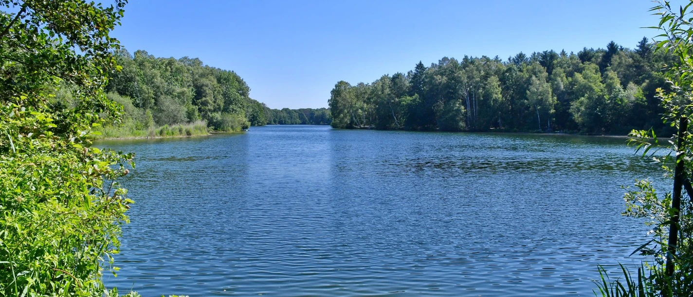 Venekotensee