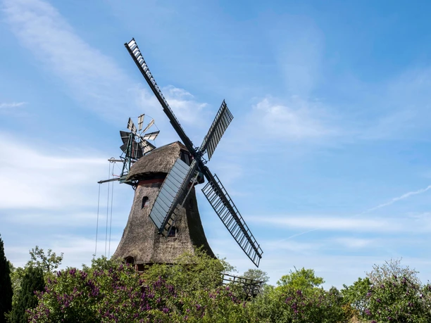 Mühle Alt Duvenstedt