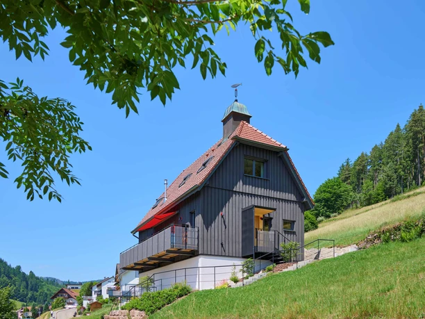 BAIE_2026_Bergforelle_A_Metz4