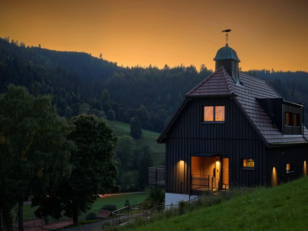 BAIE_2026_Bergforelle_A_Metz12