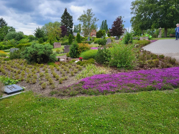 2024 Heidegarten blüht.jpg