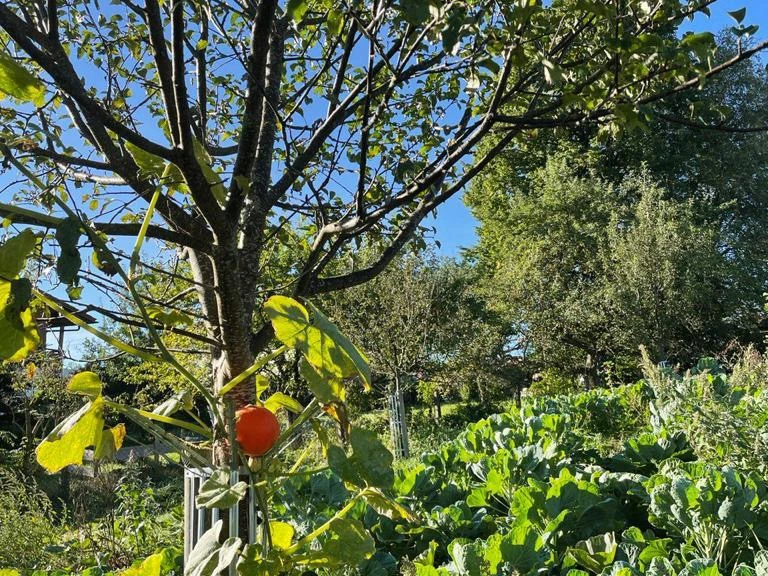 haserhof_bayersoien - 2.jpeg