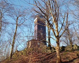 Alter Turm umgeben von kahlen Bäumen unter blauem Himmel.