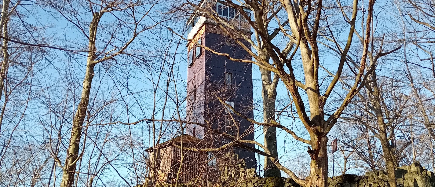 Alter Turm umgeben von kahlen Bäumen unter blauem Himmel.