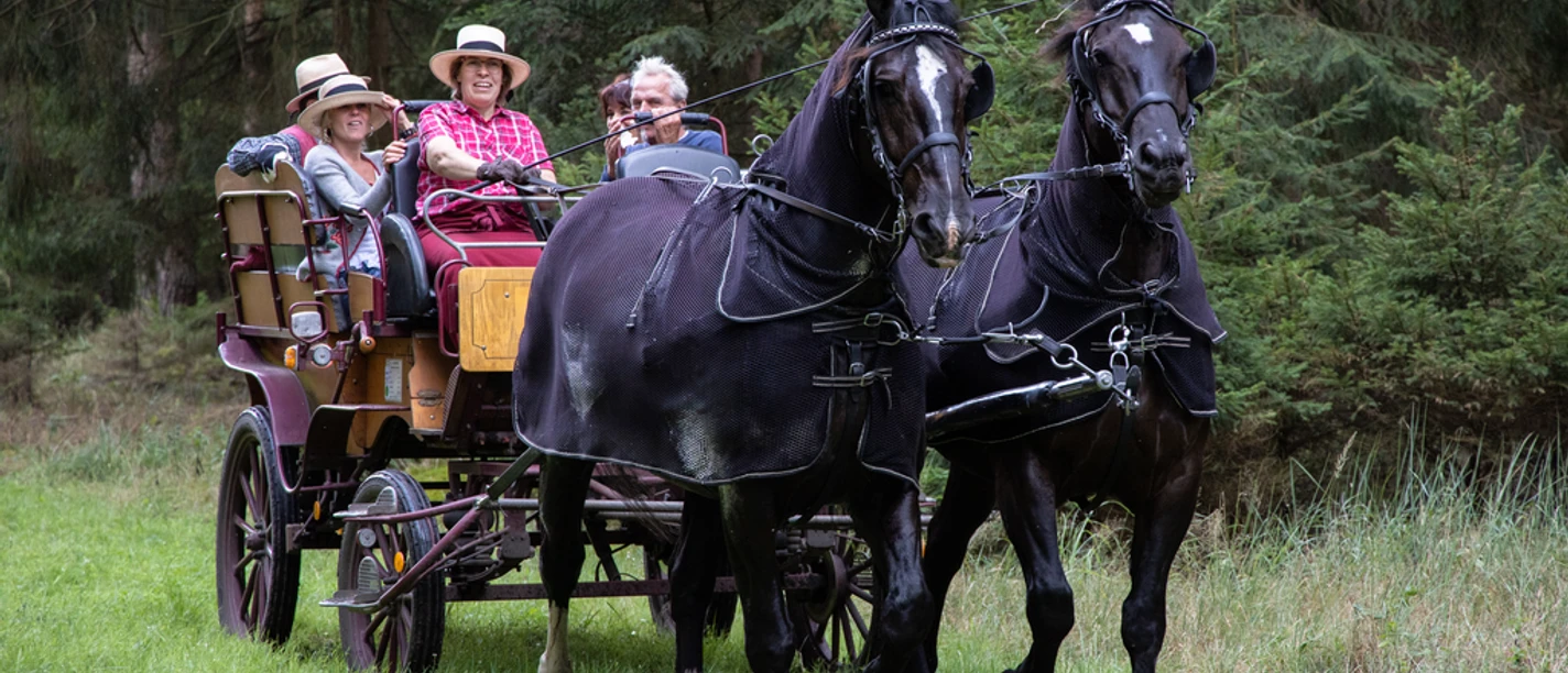 Kleine Heiderundfahrt mit Familie Reimer