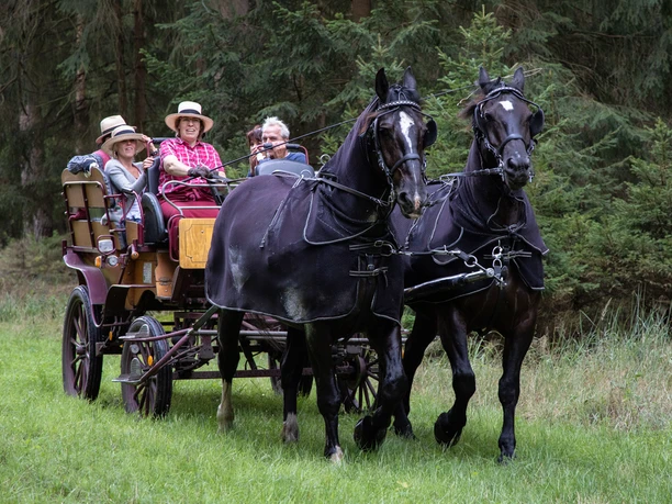 Kleine Heiderundfahrt mit Familie Reimer