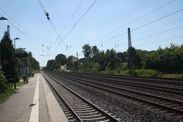 IMG_7266.JPG