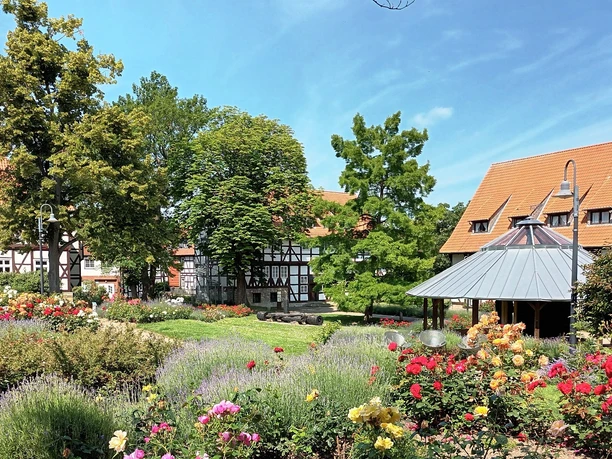 Een bloeiende rozentuin met vakwerkhuizen, een paviljoen en oude bomen in het kuurpark van Salzgitter-Bad.