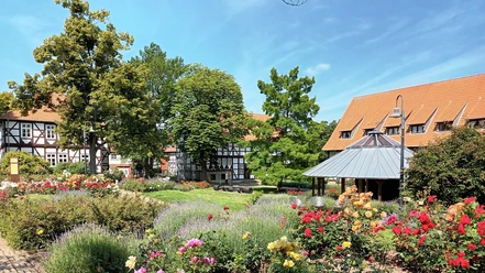 Rosengarten (51)_HD_16zu9.jpg Blühender Rosengarten mit Fachwerkhäusern, Pavillon und alten Bäumen im Kurpark Salzgitter-Bad.