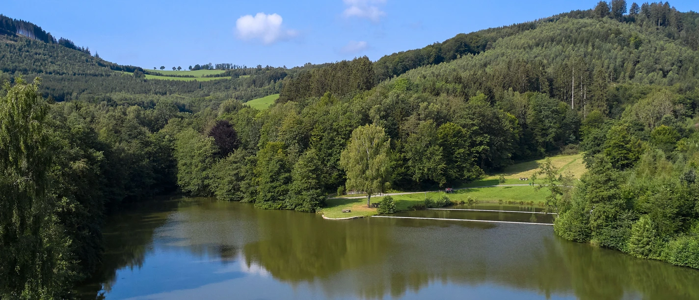 Esmecke Stausee (Einberg See) bei Eslohe - Wenholthausen