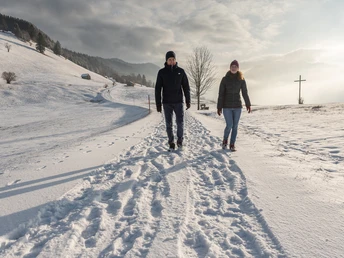 Winterwandern Altherrenweg