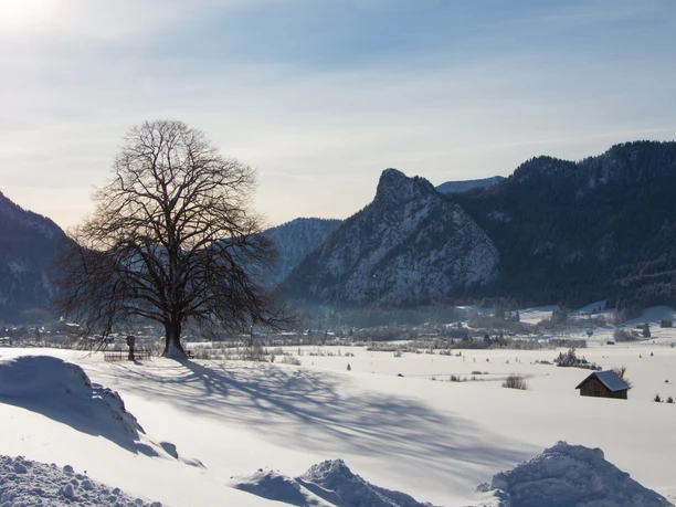 Winterwanderung - Altherrenweg