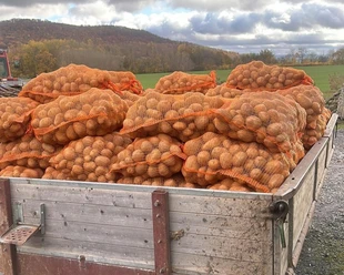 Kartoffeln