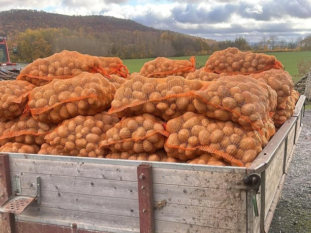 Kartoffeln