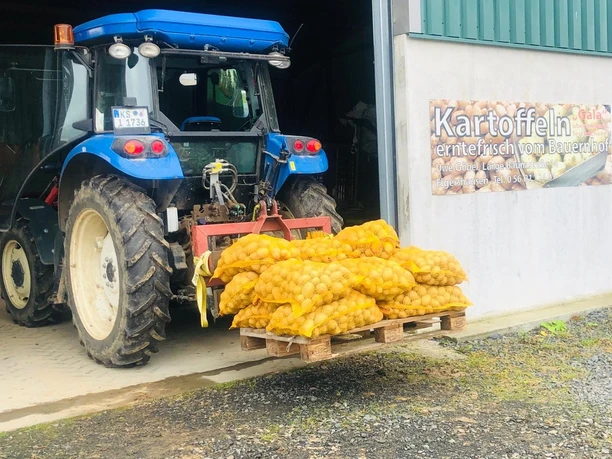 Kartoffeln mit Traktor