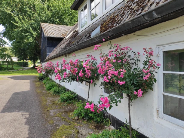 Gästehaus Käte Petersen Gästehaus Käte Petersen