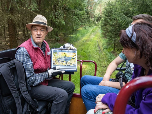 Kutschfahrt Abenteuer Wald