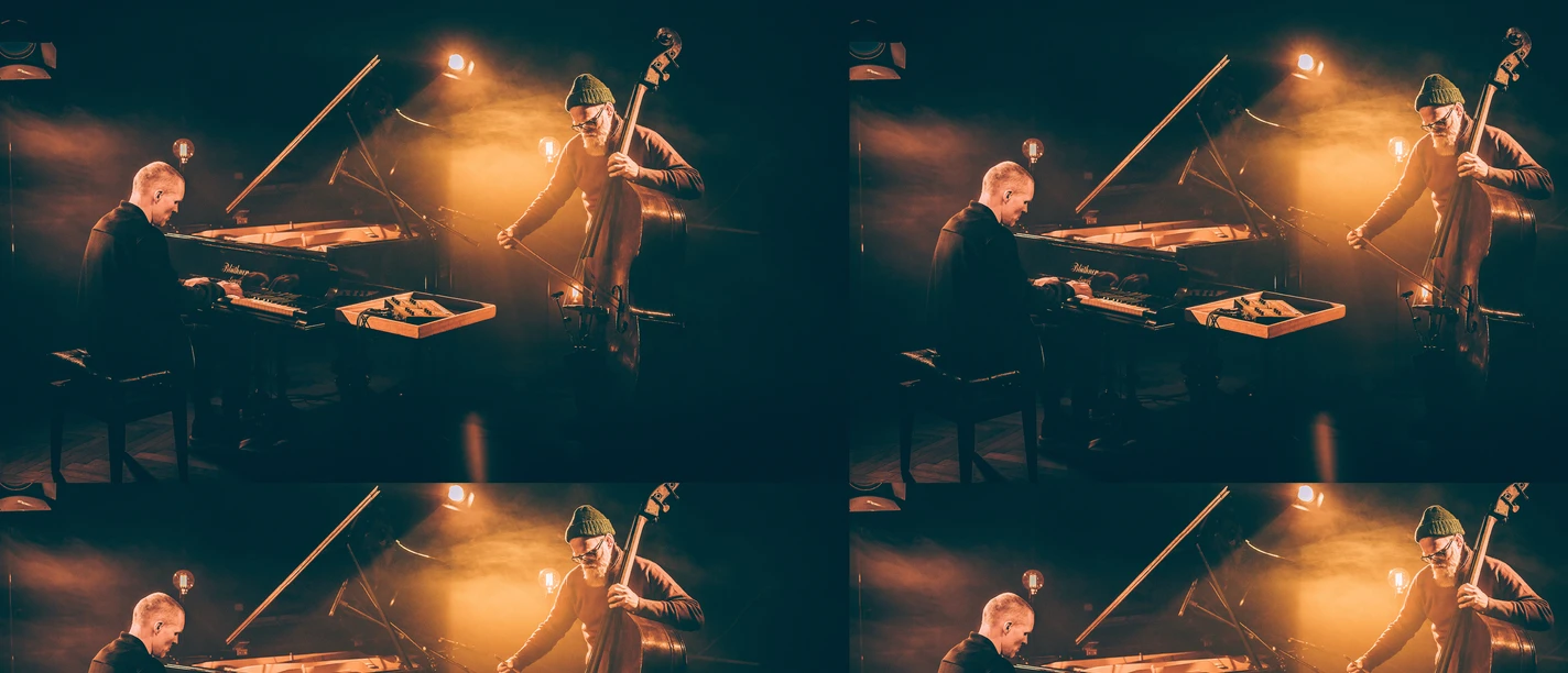 torkler bornstein.jpg