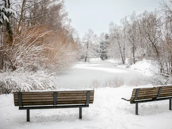 Einbeck im Winte 2026 Gefrorener See umgeben von kahlen schneebedeckten Bäumen