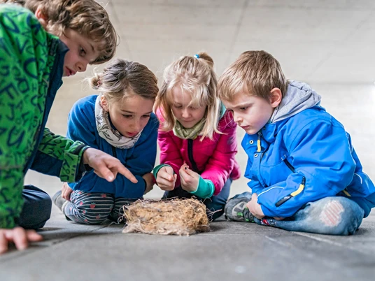 (c) Burkhardt Marcel