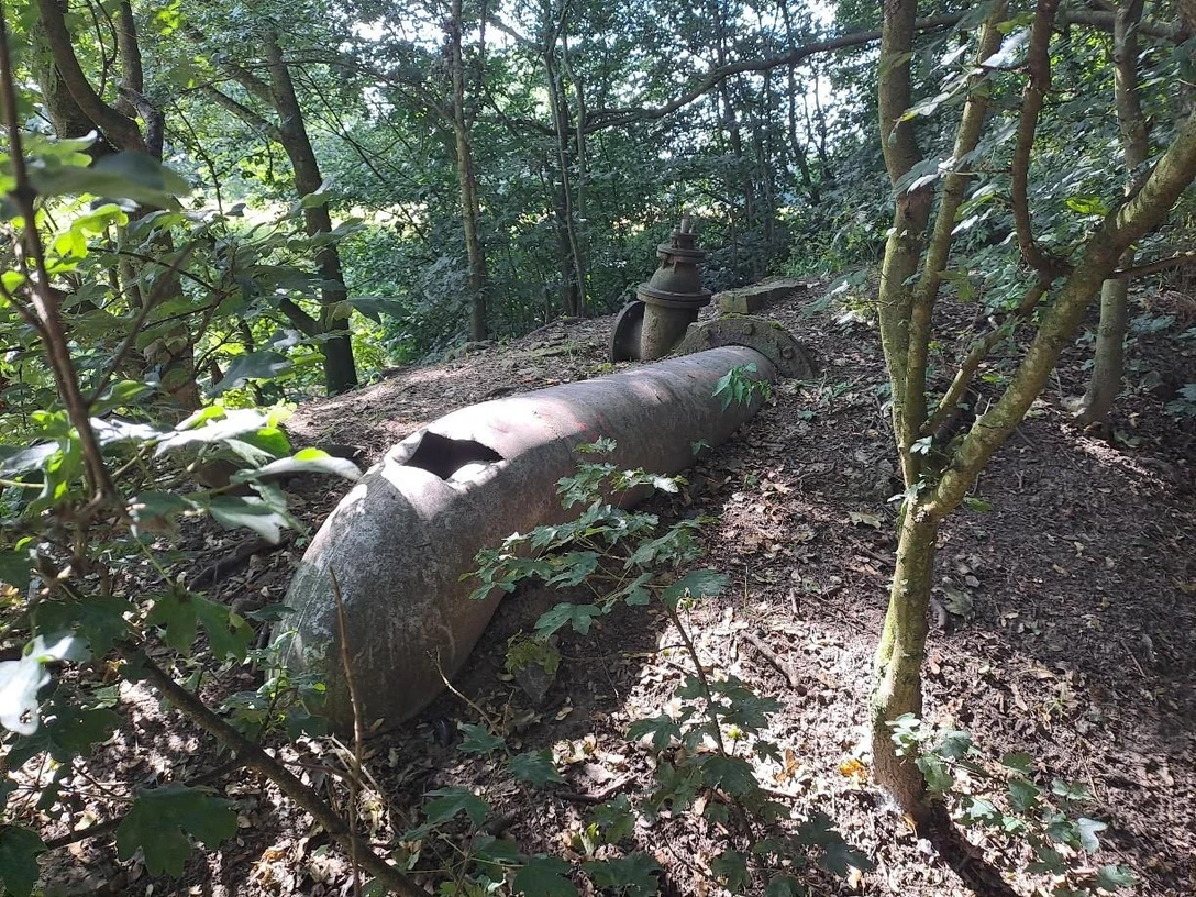 Hoffmanns Rieselwiesen Bad Salzuflen