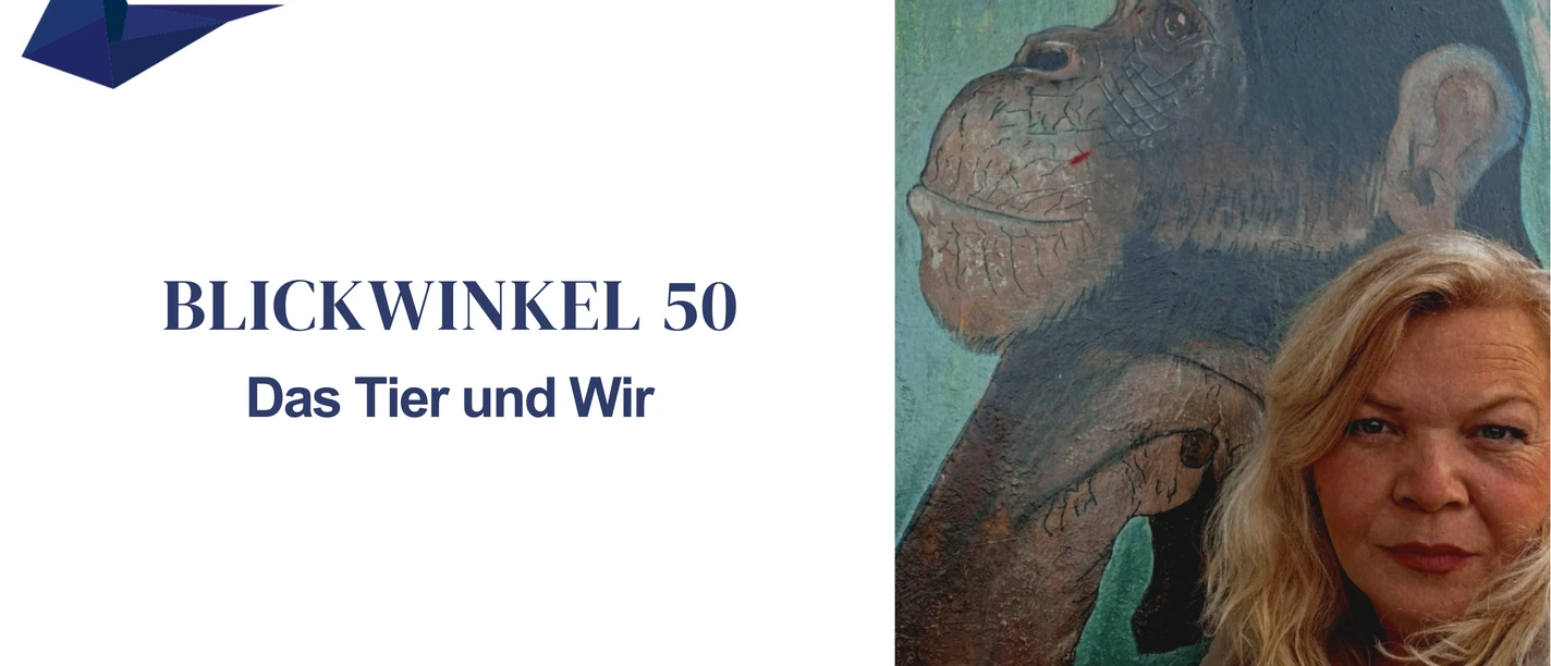 Blickwinkel 50 | © Jennifer Grundei