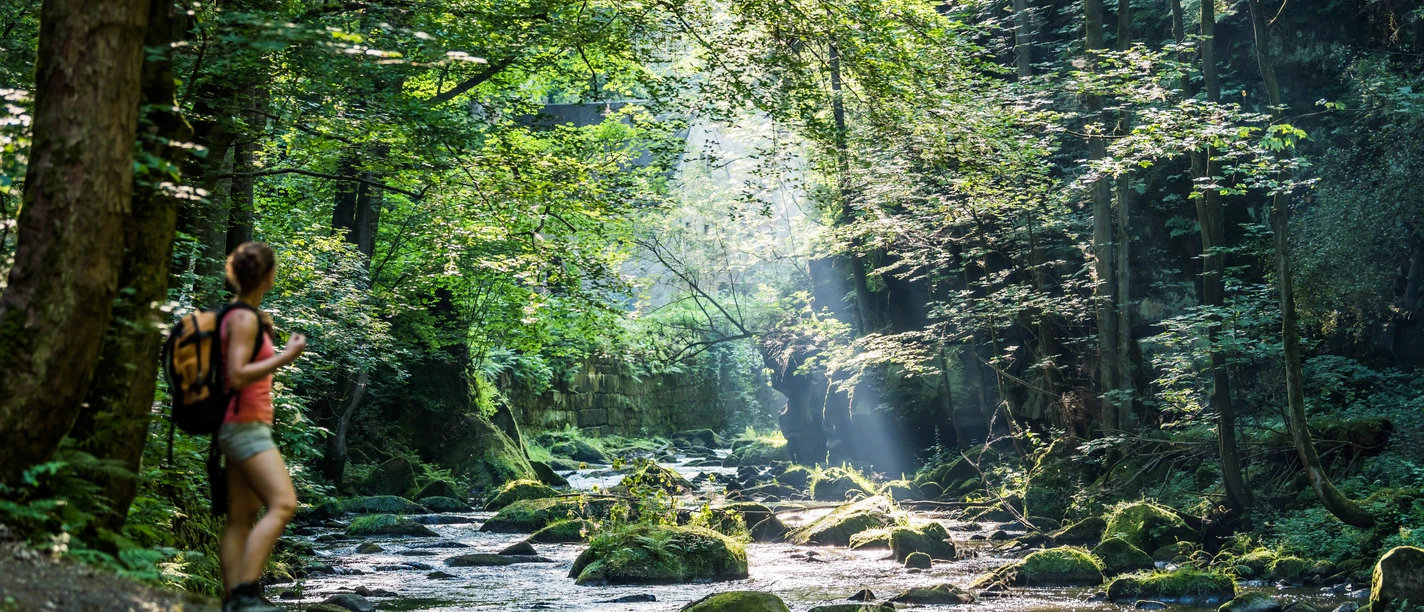 Malerweg an der Wesenitz