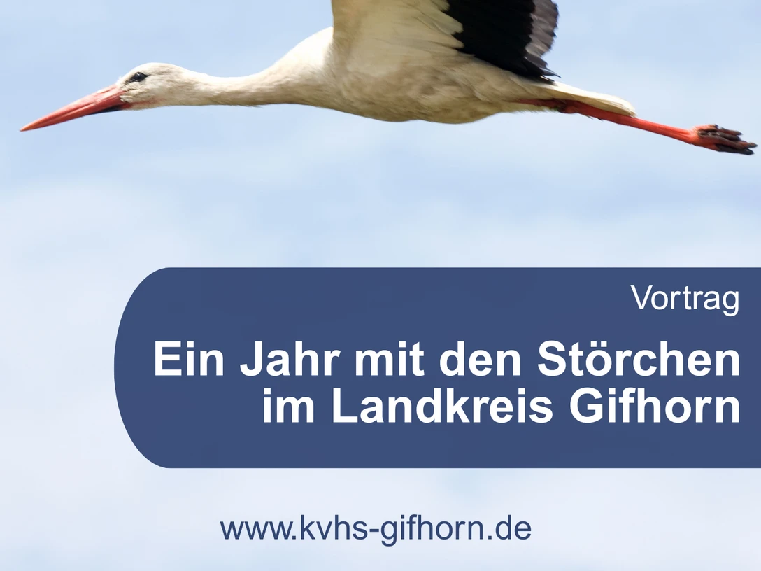 DinA4-Poster Vortrag Störche_.png