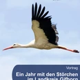DinA4-Poster Vortrag Störche_.png