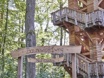 Baumwipfelweg Bad Camberg10_CC0_HA Hessen Tourismus, Roman Knie.jpg Startpunkt des Baumwipfelwegs in Bad Camberg