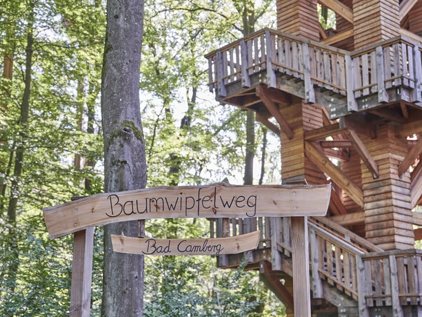 Baumwipfelweg Bad Camberg10_CC0_HA Hessen Tourismus, Roman Knie.jpg Startpunkt des Baumwipfelwegs in Bad Camberg