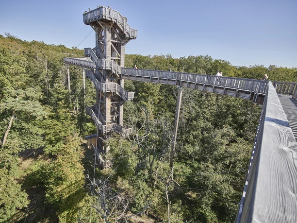 Baumwipfelweg Bad Camberg17_CC0_HA Hessen Tourismus, Roman Knie.jpg