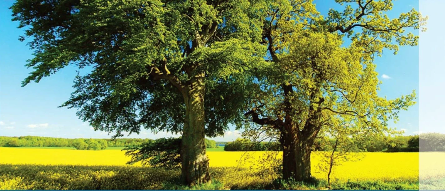 Frühjahrsputz 2026 in Friedrichskoog Frühjahrsputz in Friedrichskoog 2026