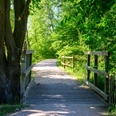 Sonnenbeschienener Wanderweg mit Holzbrücke durch grünen Wald am Heidschnuckenweg bei Bispingen.