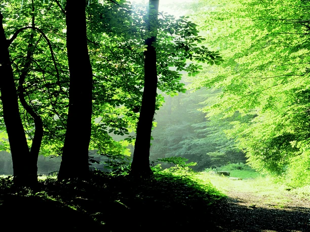 UNESCO Global Geopark TERRA.vita