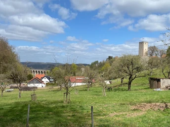 1Blick zur Greener Burg