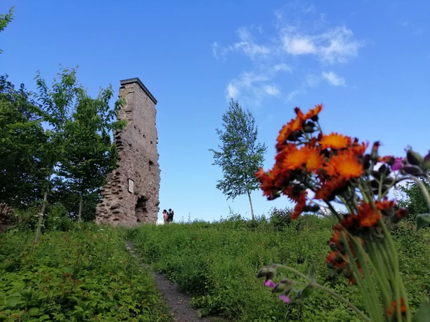 Wanderung zur Löwenburg (21).jpg