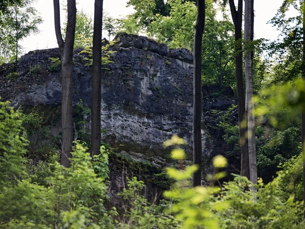 Selterklippen-Gestein