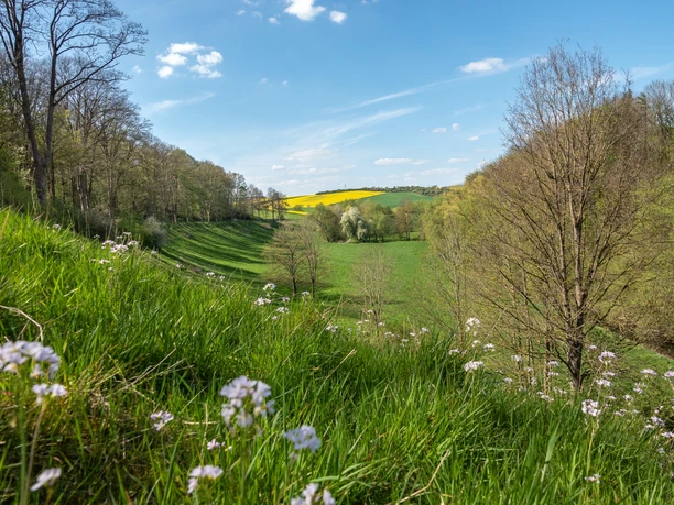 Blick_Kuventhal_R_Wenzen