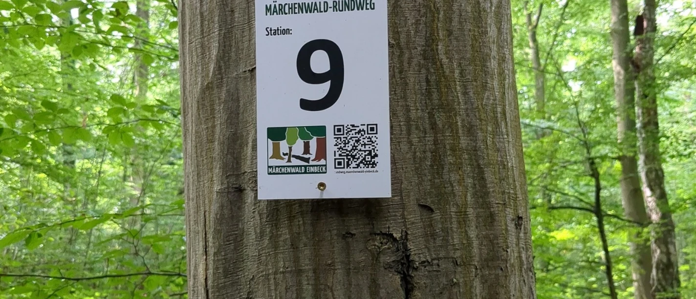 Märchenwald_Rundweg_Beschilderung_Station.jpg