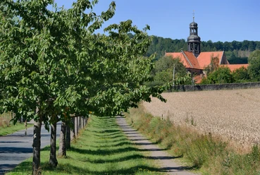 Hildesheim-Neuhof: Baum-Allee zum Kloster Marienrode.
